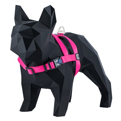 Kit Guia + Peitoral Easy Walk Boots e Pets para Cachorros Rosa 1UN G