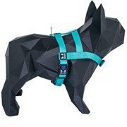 Kit Guia + Peitoral Easy Walk Boots e Pets para Cachorros Verde Água 1UN G