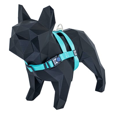 Kit Guia + Peitoral Easy Walk Boots e Pets para Cachorros Verde Água 1UN M