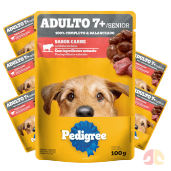 Kit Sache Pedigree Sênior +7 100g Cães de Porte Pequeno Carne ao Molho - Imagem principal