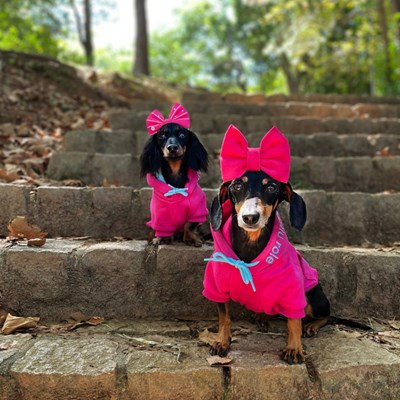 Moletom Partiu Rolê Pink para Cachorros N° 00