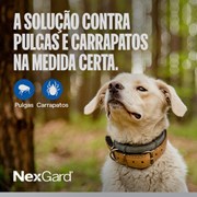 Nexgard Antipulgas e Carrapatos para Cães de 10 a 25kg 1 Tablete Mastigável