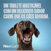 Nexgard Antipulgas e Carrapatos para Cães de 2,4kg 3 Tabletes Mastigáveis