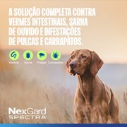 Nexgard Spectra Antipulgas e Carrapatos para Cães de 15,1 a 30kg 1 Tablete Mastigável