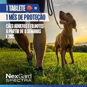 Nexgard Spectra Antipulgas e Carrapatos para Cães de 15,1 a 30kg 3 Tabletes Mastigáveis