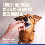 Nexgard Spectra Antipulgas e Carrapatos para Cães de 7,6 a 15kg 1 Tablete Mastigável