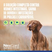 Nexgard Spectra Antipulgas e Carrapatos para Cães de 7,6 a 15kg 3 Tabletes Mastigáveis