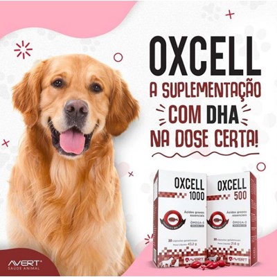 Oxcell 1000 suplemento para cachorros e gatos 30 cápsulas 1000mg