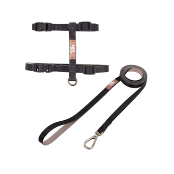 Peitoral com Guia para Gatos Toh Preto - Imagem principal