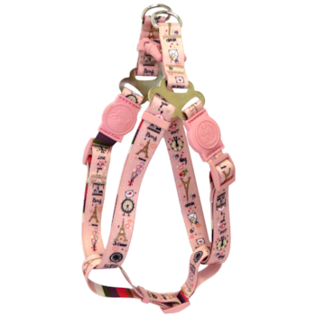 Peitoral São Pet Paris 37-50x1,5cm para Cachorros - Imagem principal