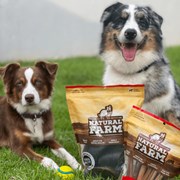 Petisco Snack Natural Farm Orelha Suína para Cães com 3 Unidades
