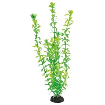 Planta Plástica Soma Economy para Aquários Verde 30cm Modelo 432 - Imagem principal