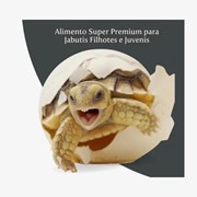 Ração Alcon Club Jabuti Baby 100gr para Jabutis Filhotes e Juvenis