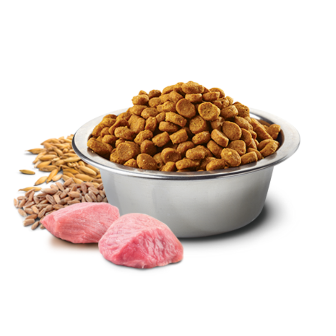 Ração N&D Ancestral Grain para cachorro sênior mini frango e romã