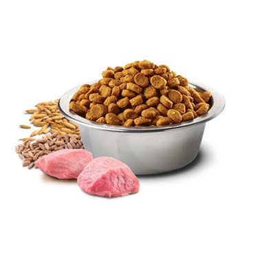 Ração N&D Ancestral Grain para cachorros sênior medium e maxi frango e romã 10,1kg