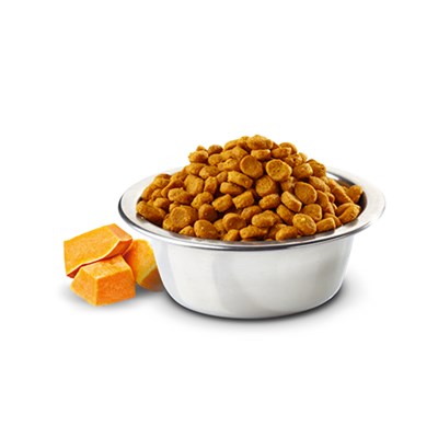 Ração N&D Pumpkin para gatos adultos pato, abóbora e melão 1,5kg