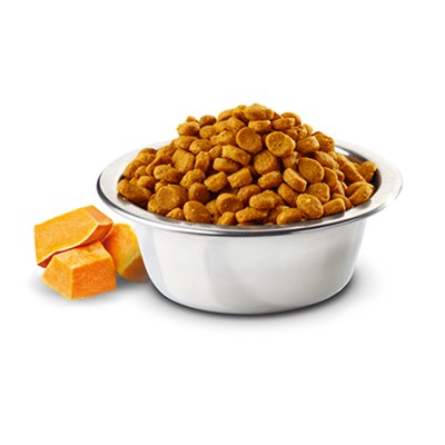 Ração N&D Pumpkin para gatos adultos pato, abóbora e melão 7,5kg