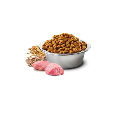Ração N&D Tropical Selection para Gatos Adultos Castrados 1,5 kg Sabor Frango, Cereais e Frutas Trop