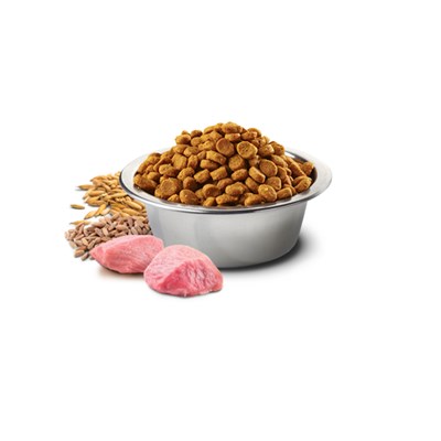 Ração N&D Tropical Selection para Gatos Adultos Castrados 1,5 kg Sabor Suíno, Cereais e Frutas Tropi