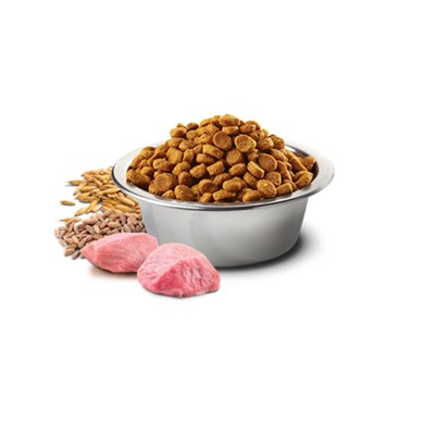 Ração N&D Tropical Selection para Gatos Adultos Castrados 7 kg Sabor Cordeiro, Cereais e Frutas Trop