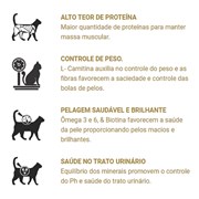 Ração ProHealth para Gatos Filhotes Sabor Frango, Erva Doce, Granberry e Abóbora 1kg
