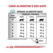 Ração Royal Canin Dieta Veterinária Anallergenic para Gatos Adultos 2,5kg