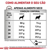 Ração Royal Canin Dieta Veterinária Gastrointestinal Caloria Moderada para Cães Adultos 10,1kg