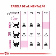 Ração Royal Canin Exigent Gatos Adultos 10,1kg