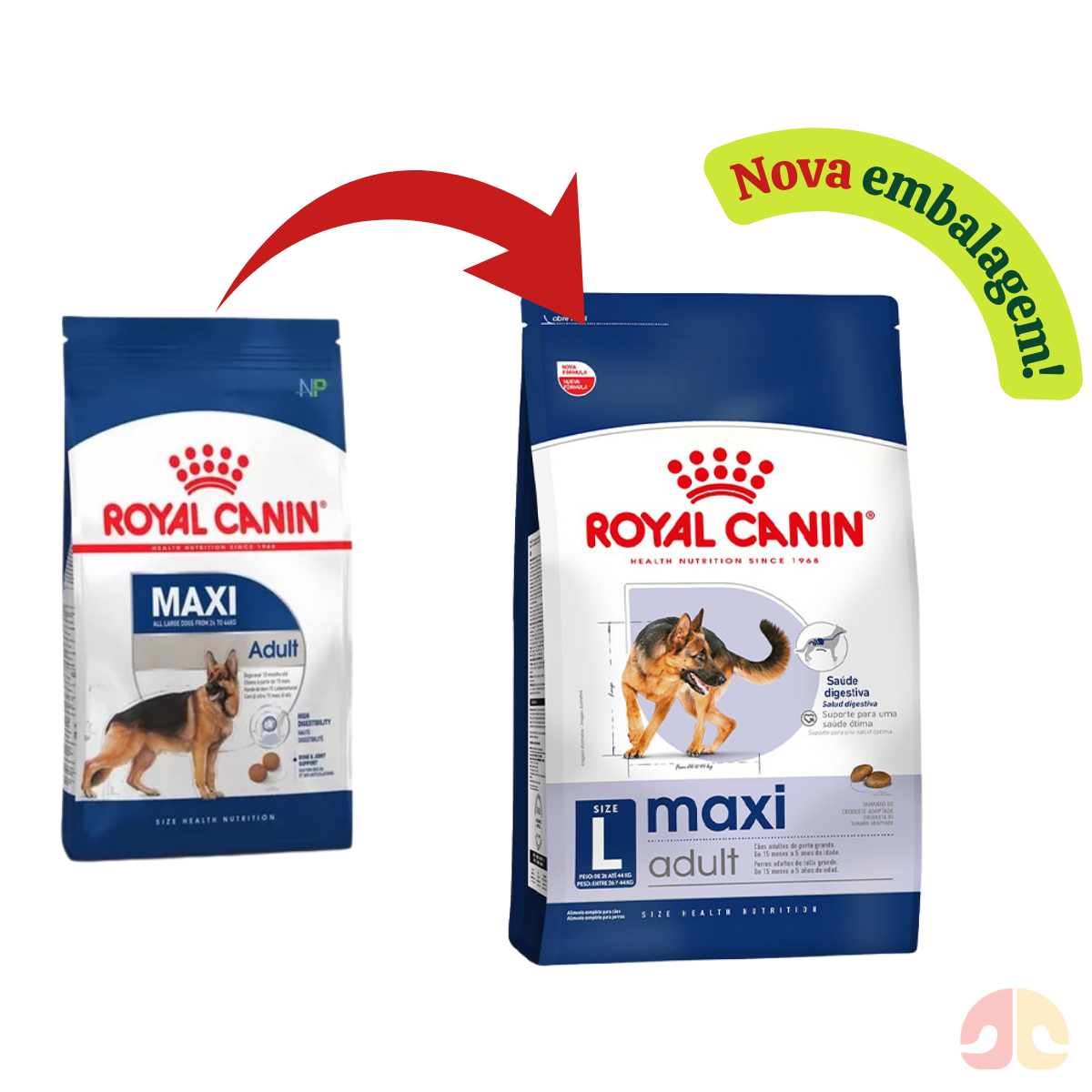 Ração Royal Canin Maxi Adult para Cães Adultos de Porte Grande 12kg