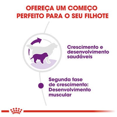 Ração Royal Canin Maxi para Cães Filhotes de Porte Gigante de 8 meses a 24 meses de idade 15kg