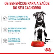 Ração Royal Canin Maxi Puppy Para Cães Filhotes Porte Grande 15kg