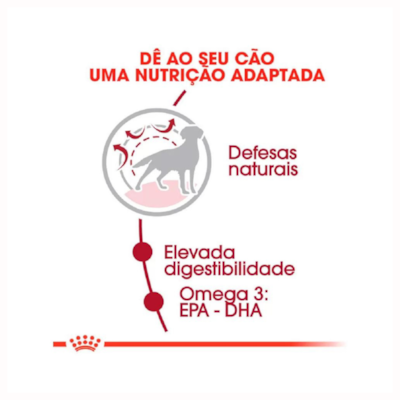 Ração Royal Canin Médium Adult Cachorros Adultos Raças Médias 2,5 kg