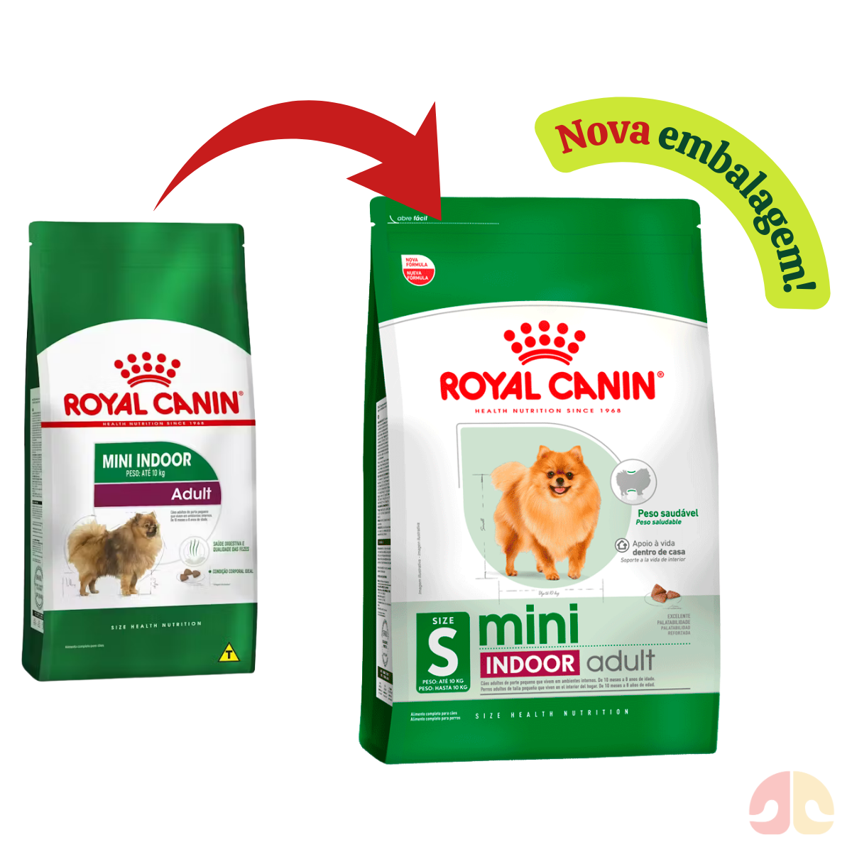 Ração Royal Canin Mini Indoor Adult para Cães Adultos Mini de