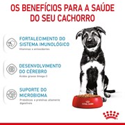 Ração Royal Canin Puppy Maxi Para Cachorros Filhotes Porte Grande 4kg