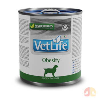 Ração Úmida Coadjuvante Vet Life Obesity 300gr para Cães - Imagem principal