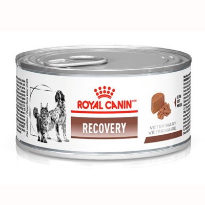 Ração Úmida Lata Royal Canin Veterinary Diet Recovery para gatos e cachorros adultos 195g