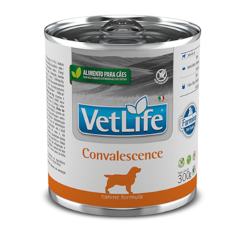 Ração Úmida Lata VetLife Growth & Convalescense para Cachorros Adultos 300gr - Imagem principal