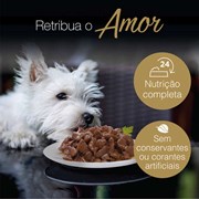 Ração Úmida Sache Cesar para Cachorros Adultos 85gr sabor Filé Mignon