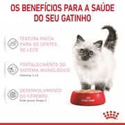 Ração Úmida Sachê Feline Kitten Gatos Filhotes Loaf 85g