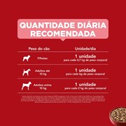 Ração Úmida Sachê Purina One para Cães Adultos e Filhotes sabor Salmão 85gr