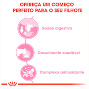 Ração Úmida Sachê Royal Canin Feline Kitten para Gatos Filhotes 85g