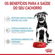 Ração Úmida Sachê Royal Canin Puppy Maxi para Cães Filhotes de Porte Grande 140g