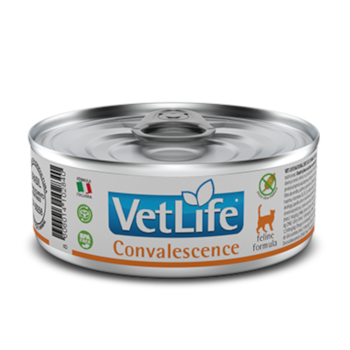 Ração Úmida VetLife Convalescence Para Gatos Adultos 85g - Imagem principal
