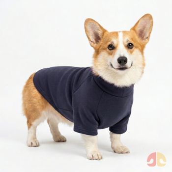 Roupinha Blusa Moletom com Manga Fábrica Pet Marinho P para Cães - Imagem principal