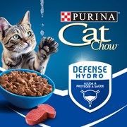 Sachê Cat Chow Ração Úmida Adultos Carne ao Molho 85g