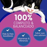 Sachê Felix Fantastic Mix Ração Úmida para Gatos Adultos Salmão e Carne 85g