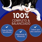 Sachê Felix Fantastic Tiritas Ração Úmida para Gatos Adultos Peru 85g