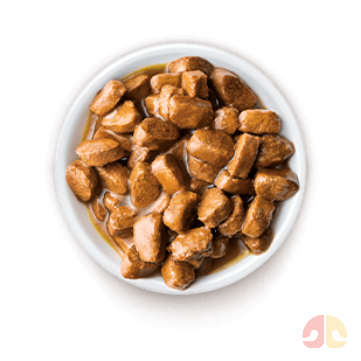 Sachê Special Dog para Cachorros Adultos 100gr sabor Frango e