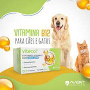 Vitecol B12 suplemento para cachorros e gatos 30 Comprimidos