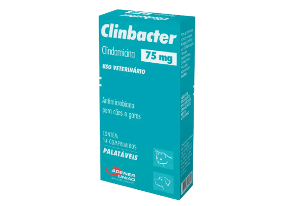 antifungico para cães e gatos